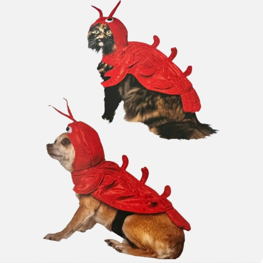Pet Costume Halloween Lobster Costume NWT
